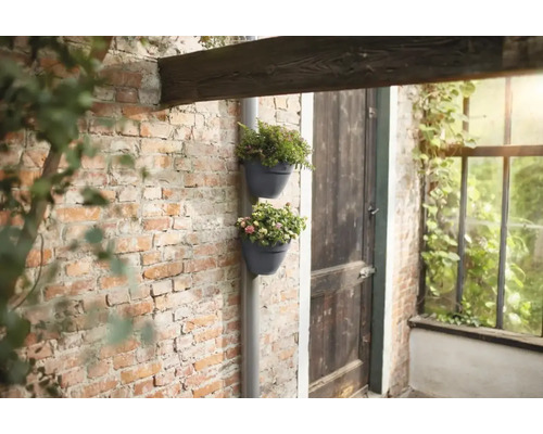 Zwei Blumentöpfe mit Pflanzen an einer Regenrinne an einer Ziegelwand
