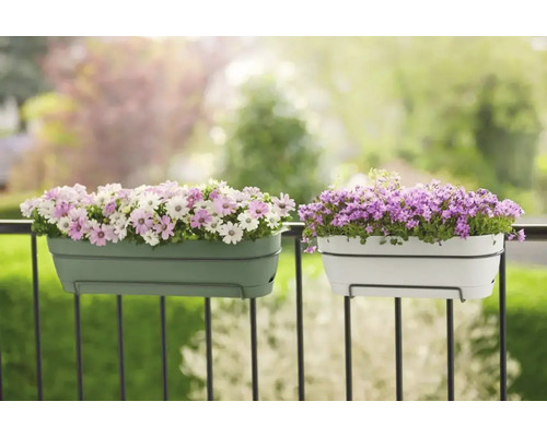 Zwei Balkonkästen mit Blumen auf einem Balkongeländer