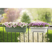 Deux jardinières avec des fleurs sur une balustrade de balcon.