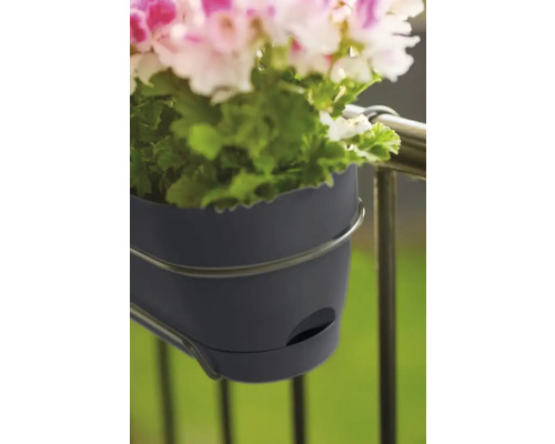 Blumenkasten mit Halterung am Geländer befestigt