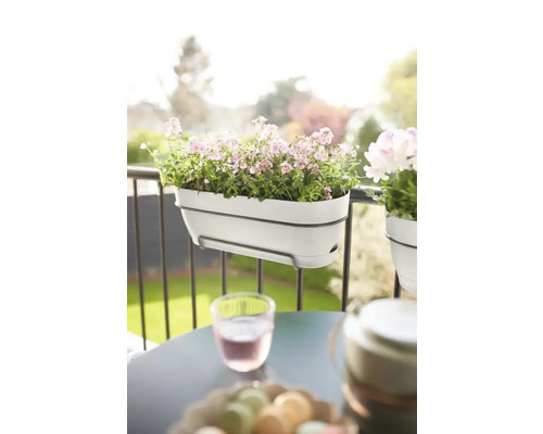 Scène de balcon avec jardinière plantée et service de table