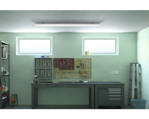 Atelier avec établi, étagères, panneau à outils et lampe fluorescente