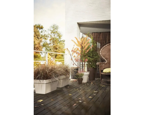 Dekorierter Balkon mit Pflanzen in Töpfen und rechteckigen Pflanzkästen