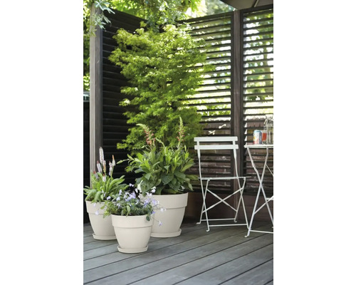 Scène de jardin avec des plantes dans des pots sur une terrasse en bois