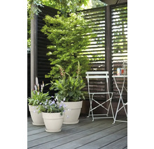 Scène avec pots de fleurs, plantes et mobilier de jardin sur une terrasse en bois