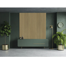 Salon avec panneau acoustique, buffet, lampadaire, horloge et plantes