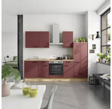 Küche mit Küchenschränken, Dunstabzugshaube, Spüle, Kochfeld und Backofen