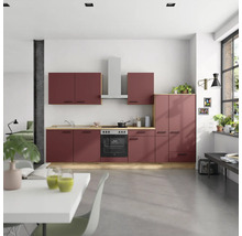 Cuisine moderne avec armoires de cuisine, évier, plaque de cuisson, hotte et four.