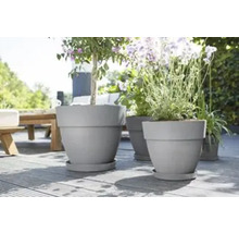 Plusieurs jardinières plantées sur une terrasse