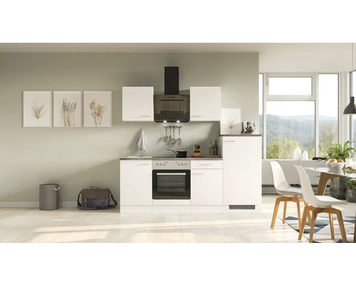 Flex Well Küchenzeile mit Geräten Lucca 220 cm weiß matt zerlegt Variante reversibel