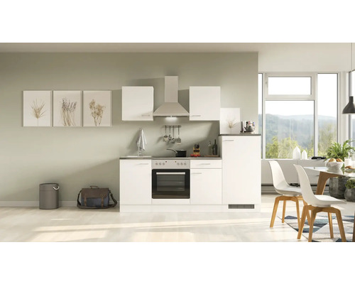 Flex Well Küchenzeile mit 220 Korpusfarbe matt cm Frontfarbe weiß - Geräten weiß zerlegt Lucca HORNBACH Luxemburg