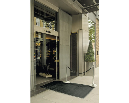 Eingangsbereich mit Fußmatte, Absperrpfosten und Pflanze im Topf