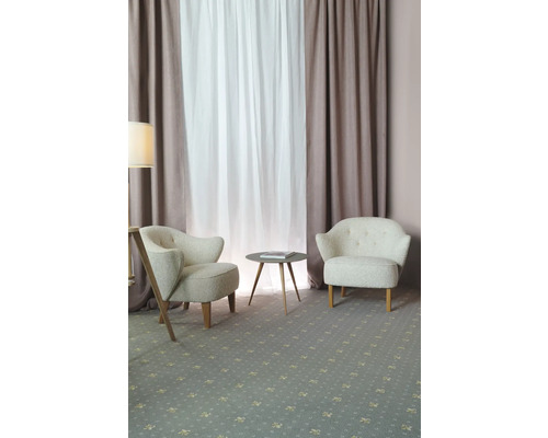 Salon avec deux fauteuils, petite table et tapis