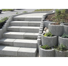 Escalier en béton avec blocs de plantation