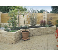 Mauerstein iBrixx Passion Twee sandstein 50 cm x 12,5 cm x 12,5 cm