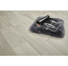 Plancher en bois clair avec tapis et magazine