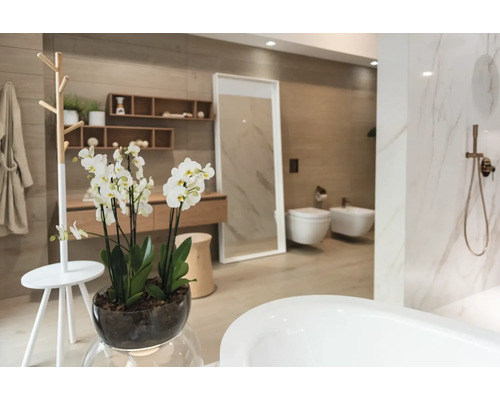 Salle de bains avec baignoire, toilettes, bidet, lavabo, miroir, étagère et décoration