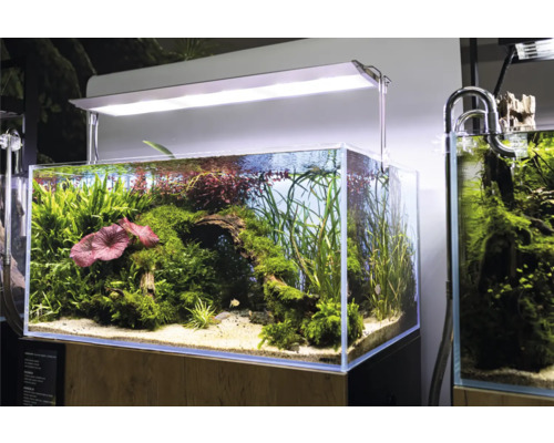 Aquarium AQUAEL UltraScape 90 avec éclairage LED Ultra Slim 90, env. 243 l, env. 90 x 60 x 45 cm, verre optique, verre blanc, sans meuble bas