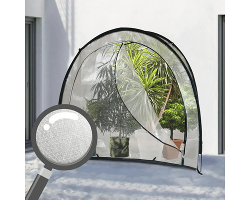 Petite serre avec des plantes