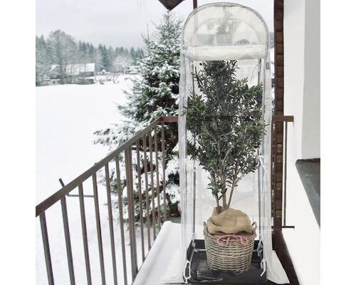 Plante dans un pot avec protection hivernale sur un balcon en hiver