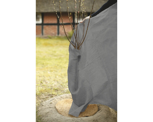 Housse de protection des plantes protège les jeunes plantes dans le jardin.