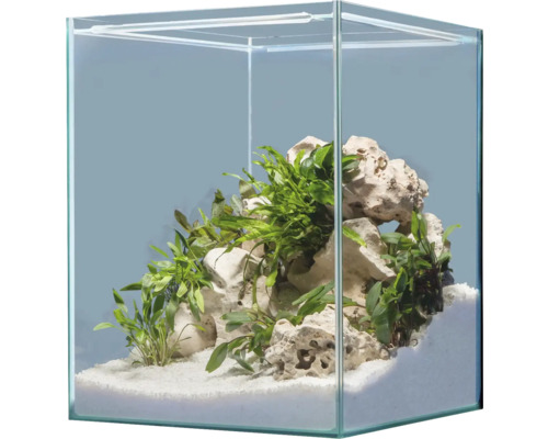Décoration d'aquarium sera Hardscape Set Scaper Cube Africa pour aquarium de 48 à 80 litres, parfait pour 80 litres, avec Rock Hole Stone, Gravel White (sans plantes et aquarium)