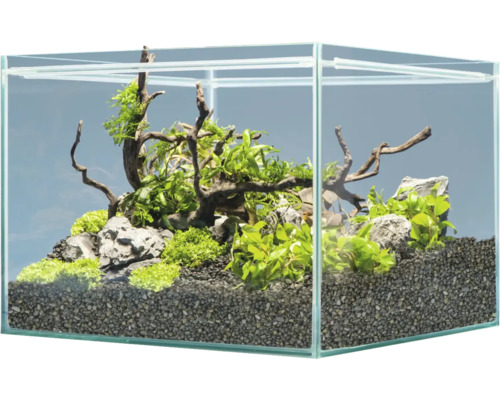 Décoration d'aquarium sera Hardscape Set Scaper Cube Shrimp pour aquarium de 48 à 80 litres, parfait pour 48 litres, avec Rock Gray Mountain, Scaper Root, floredepot, Gravel Anthracite (sans plantes et aquarium)