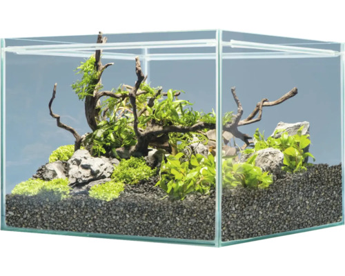 Décoration d'aquarium sera Hardscape Set Scaper Cube Shrimp pour aquarium de 48 à 80 litres, parfait pour 48 litres, avec Rock Gray Mountain, Scaper Root, floredepot, Gravel Anthracite (sans plantes et aquarium) Aquarium décoratif avec plantes, pierres et racines en bois