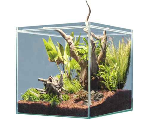 Décoration d'aquarium sera Hardscape Set Scaper Cube South America pour aquarium de 48 à 80 litres, parfait pour 64 litres, avec Scaper Wood, floredepot, Gravel Brown (sans plantes et aquarium)