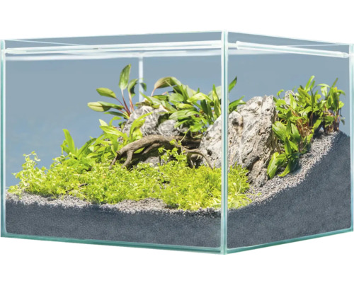 Décoration d'aquarium sera Hardscape Set Scaper Cube Asia pour aquarium de 48 à 80 litres, parfait pour 48 litres, avec Rock Quartz Gray, Scaper Root, floredepot, Gravel Gray (sans plantes et aquarium) Aquarium en verre aménagé avec des plantes, des pierres et du bois flotté