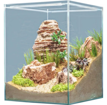 Dekoratives Aquarium mit Steinen und Pflanzen