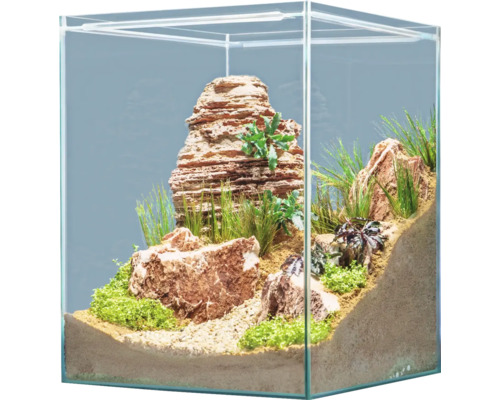 Décoration d'aquarium sera Hardscape Scaper Cube Desert de 48 à 80 litres, parfait pour 80 litres, avec Rock Grand Canyon, Rock Asian Pagoda, floredepot, Gravel Ocher, Gravel Beige Aquarium décoratif avec pierres et plantes
