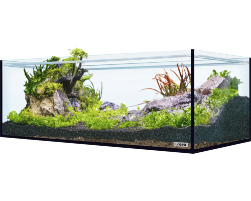 Décoration d'aquarium sera Hardscape Set Scaper Cube Shrimp pour aquarium de 96 à 160 litres, parfait pour 48 litres, avec Rock Gray Mountain, Scaper Root, floredepot, Gravel Anthracite (sans plantes et aquarium)