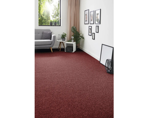 Salon avec moquette rouge, canapé gris et décorations