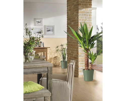 Wohnzimmer mit Holztisch, Stuhl und Topfpflanzen für ein angenehmes Ambiente.