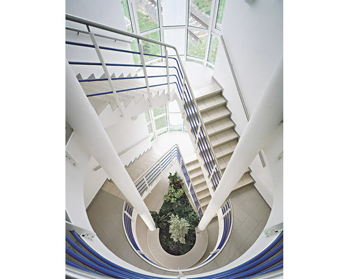 Vue de dessus d''une cage d''escalier avec escalier en colimaçon et parterre de plantes
