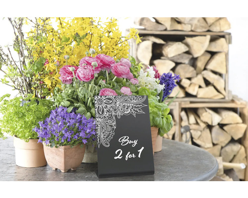 Arrangement floral avec différentes fleurs printanières et l''offre : Achetez 2 pour le prix de 1