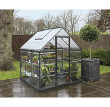 Serre avec plantes et une plante en pot dans le jardin.