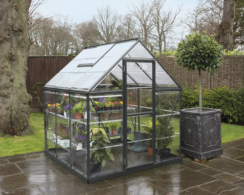 Serre avec plantes et une plante en pot dans le jardin.