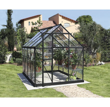 Gewächshaus mit Glas und Pflanzen im Garten