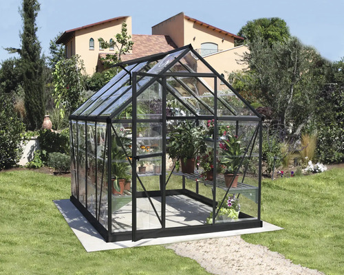 Gewächshaus mit Glas und Pflanzen im Garten