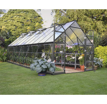 Gewächshaus mit Pflanzen im Garten