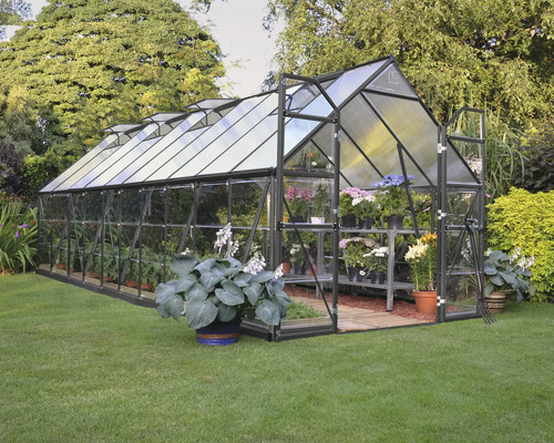 Gewächshaus mit Pflanzen im Garten