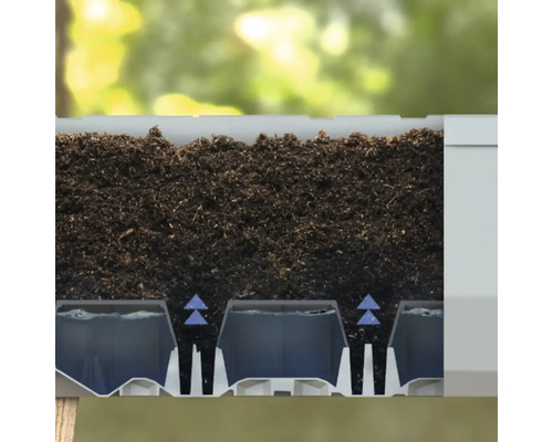 Querschnitt eines bepflanzten Blumenkastens mit Bewässerungssystem