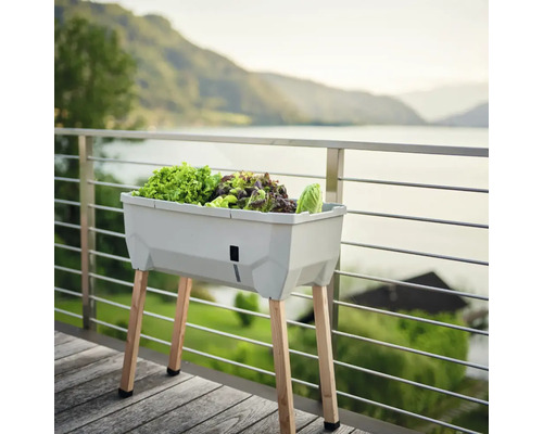 Hochbeet mit Salatpflanzen auf einer Terrasse mit Seeblick.