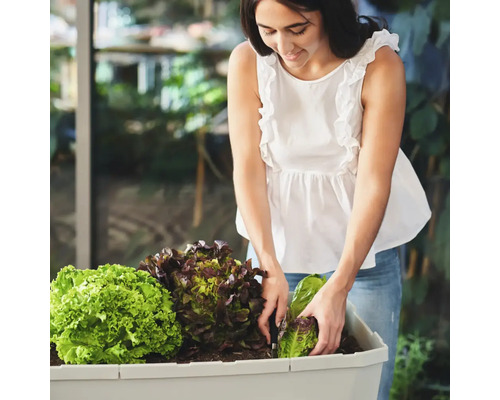 Frau pflanzt Salat in einem Hochbeet.