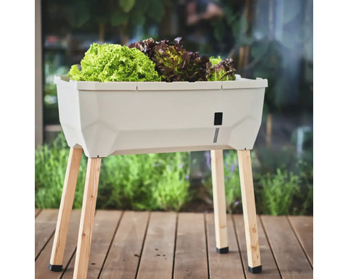 Hochbeet mit Salatpflanzen und Holzfüßen