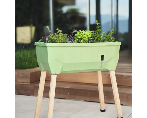 Hochbeet mit Kräutern auf Holzbeinen