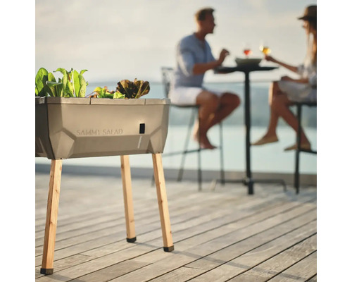 Jardinière surélevée avec salades et pieds en bois dans le jardin