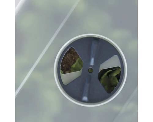 Gros plan d''un bac à semis avec de la terre et des plantes